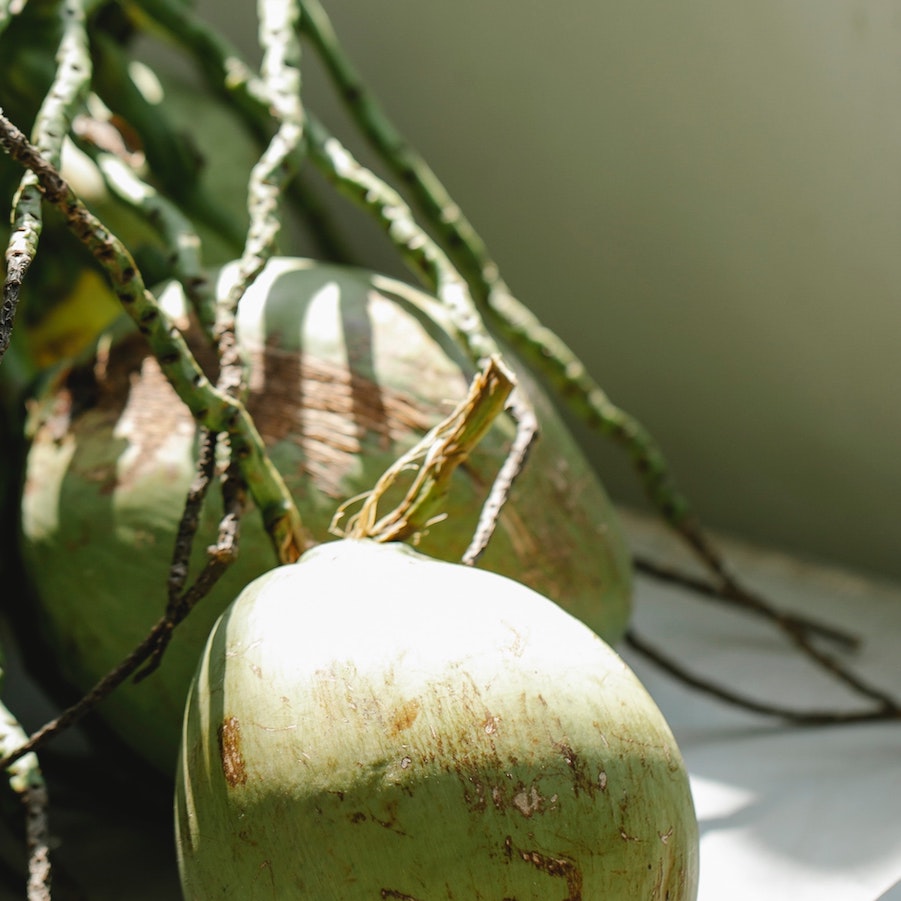 Two fresh green coconuts with stems lying on a white surface with shadows